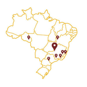 Mappa con indicata in grande la zona caffeicola da dove Ernani prende il suo monorigine brasiliano ed in piccolo tutte le altre zone caffeicole del brasile