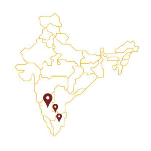 Mappa con indicata in grande la zona caffeicola da dove Ernani prende il suo monorigine indiano ed in piccolo tutte le altre zone caffeicole dell'India